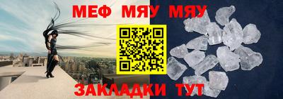 крисы Шелехов
