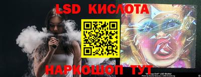 крисы Шелехов