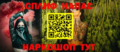 крисы Шелехов