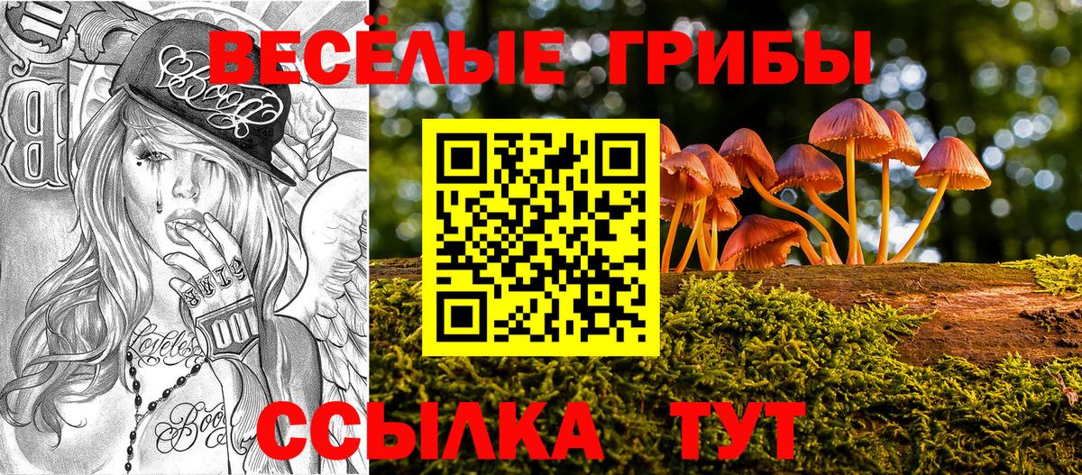 Галлюциногенные грибы Psilocybine cubensis  Вход с VPN  Зеленодольск 